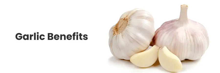 Garlic Benefits
