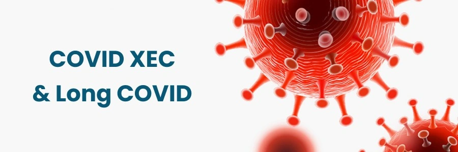 Hair Thinning After Menopause