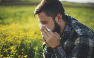 hay-fever-strategies-for-better-living