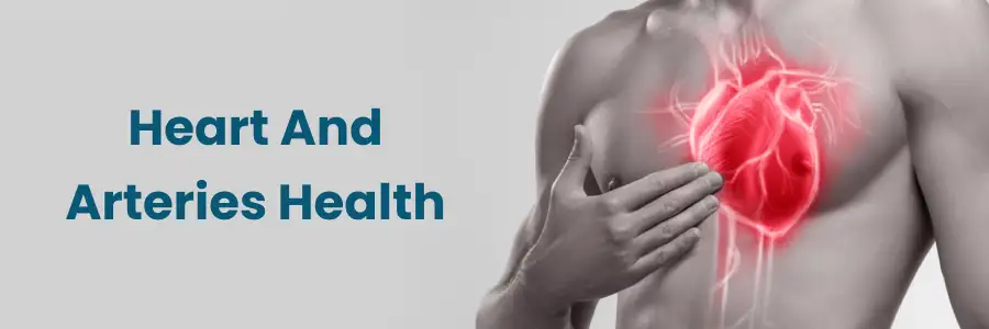 Top Heart-Healthy Foods for Strong Arteries