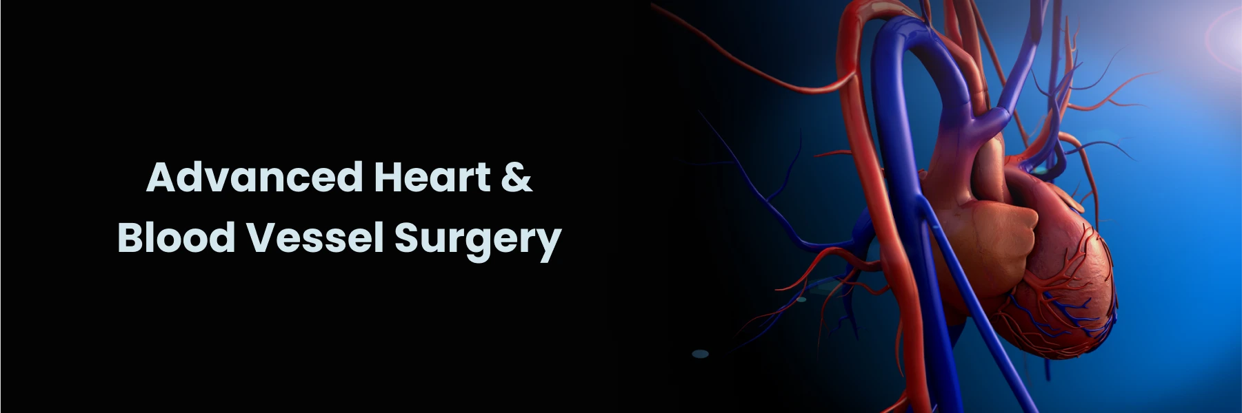 Heart and blood vessel surgery hyderabad
