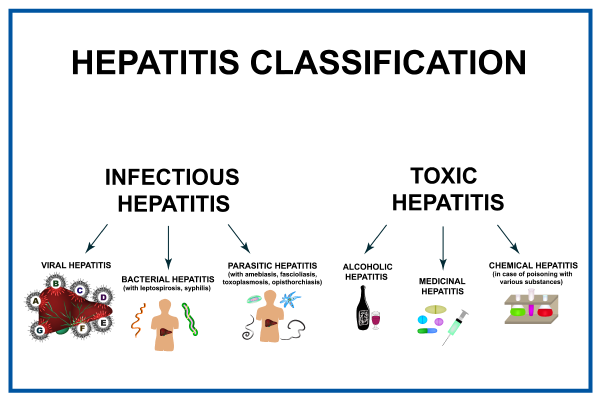 hepatitis-overview