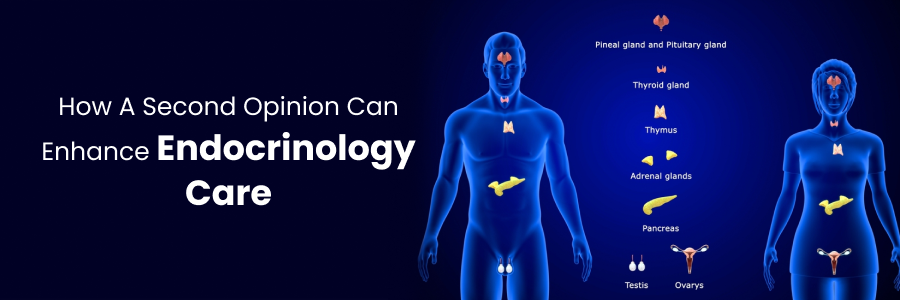 Second Opinion Enhances Endocrinology Care