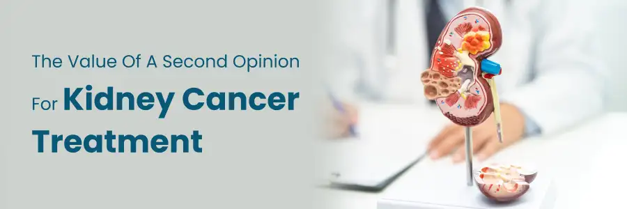 Second Opinion for Kidney Cancer Treatment