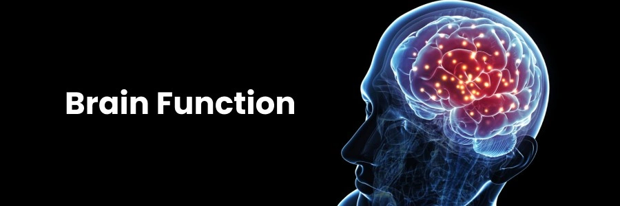 Improving Brain Function with Healthy Lifestyle Bengaluru