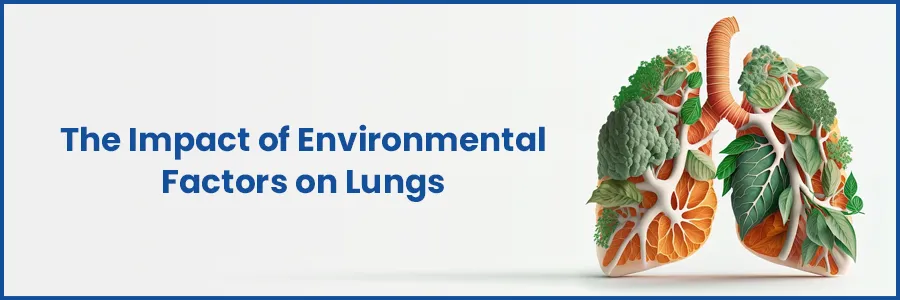 The Influence of Environmental Factors on Lung Health