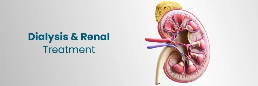 Kidney Care: Dialysis and Renal Treatment Options in Bengaluru