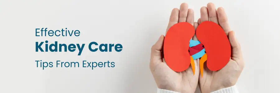 Kidney care tips from Experts