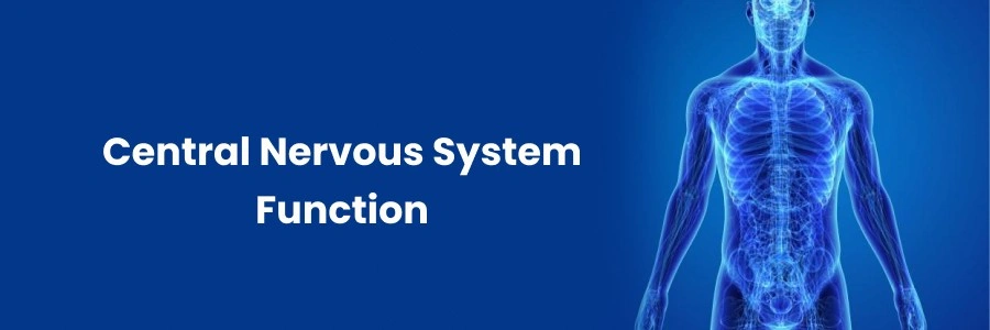 Kidney Disease Patients Support Resources