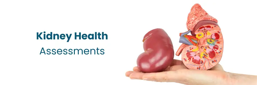 Kidney Health Assessments Hyderabad