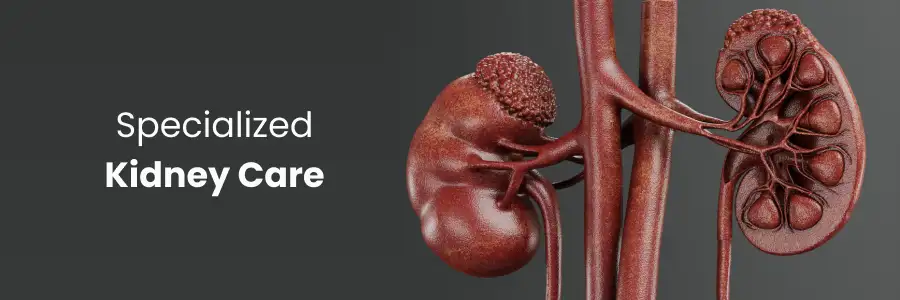 Kidney Health Concerns