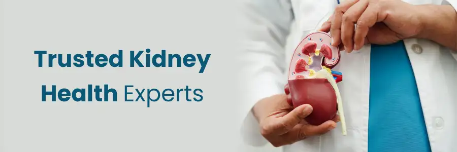 Kidney health experts near you