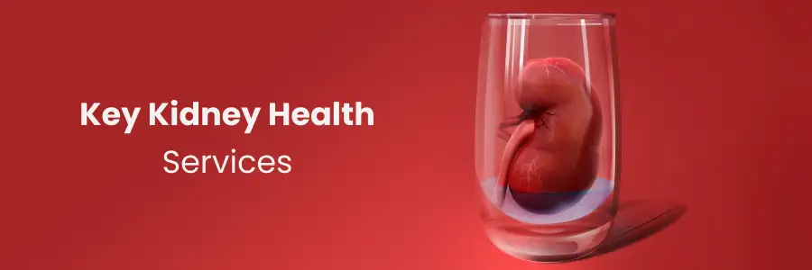 Kidney Health in Hyderabad