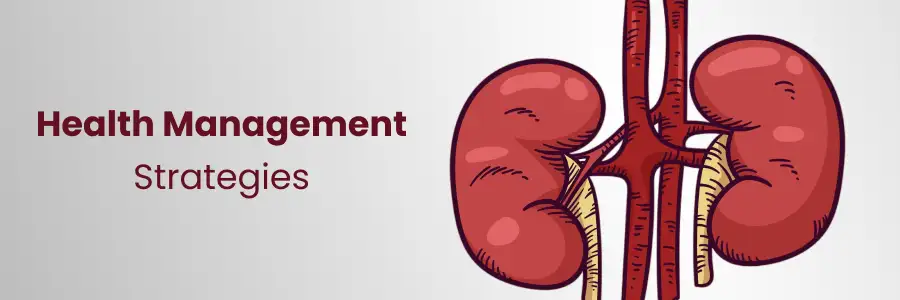 What Are the Most Effective Strategies & Services for Kidney Health Management?