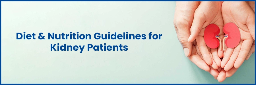 Diet and Nutrition Guidelines for Kidney Patients: