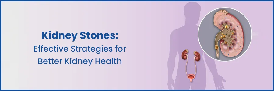 Kidney Stones: Effective Strategies for Better Kidney Health
