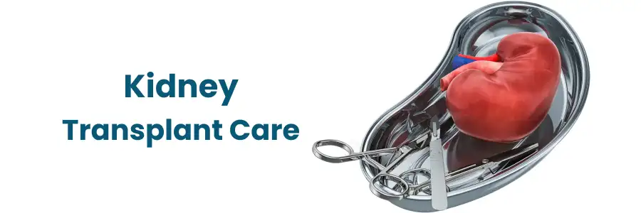 Kidney Transplant Care and Follow-up Services Near You Bengaluru Kidney Transplant Care and Follow-up Services Near You Bengaluru