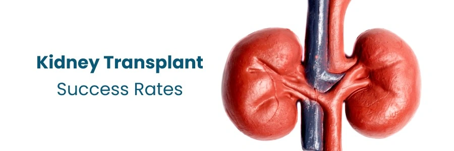 How to Assess Success Rates & Long-Term Outcomes of Kidney Transplants?