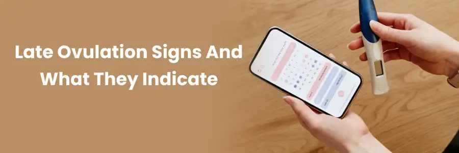 Late Ovulation Signs: What They Mean