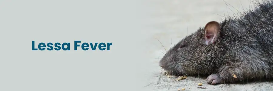 Understanding Lessa Fever: Causes, Symptoms & Prevention