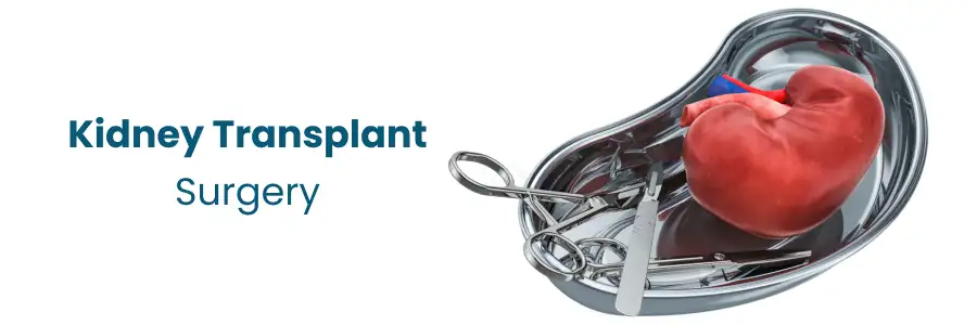 How to Navigate Life and Adjust After a Kidney Transplant Surgery?