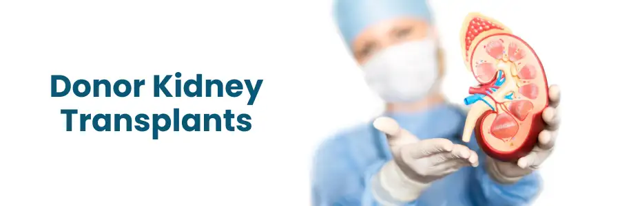  Living vs Deceased Donor Kidney Transplants Key Differences