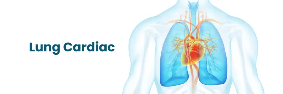 Lung Surgery & Cardiac Solutions in Chhatrapati Sambhaji Nagar
