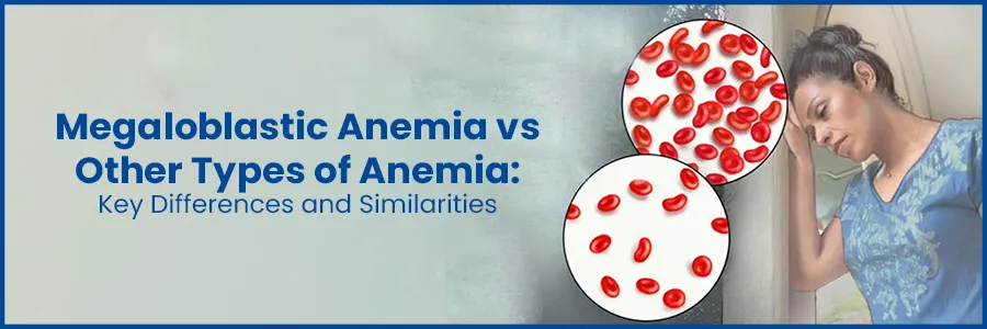 Megaloblastic Anemia vs Other Types of Anemia: Exploring Differences