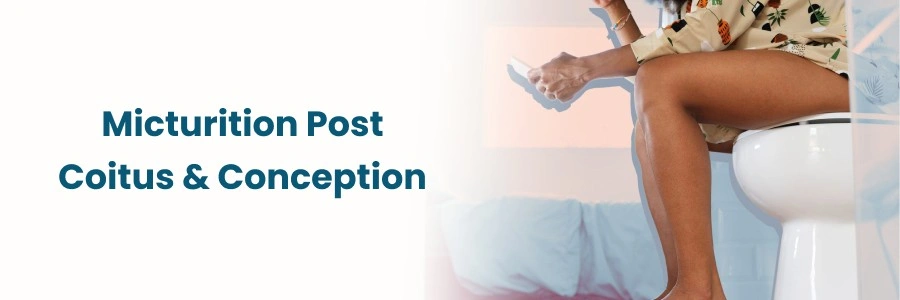 Micturition Post Coitus And Conception