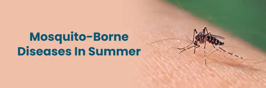 Summer Mosquito Diseases: Prevention & Treatment