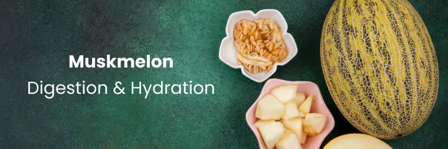 Muskmelon: Digestion & Hydration Benefits