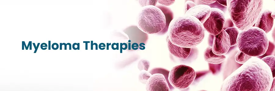 Myeloma Therapies