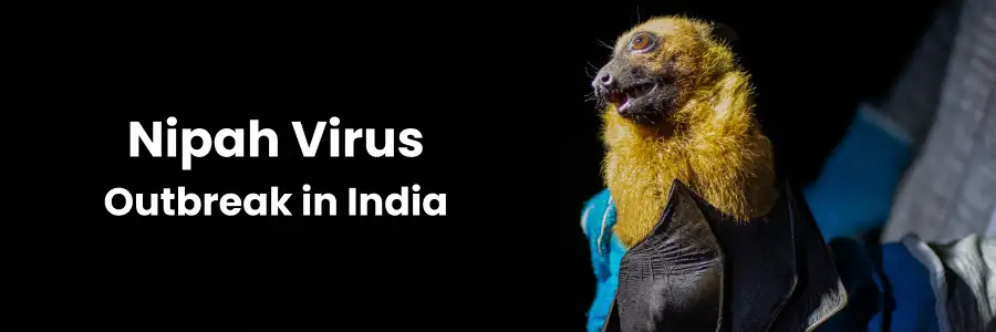 Nipah Virus Outbreak In India Nipah Virus Outbreak In India