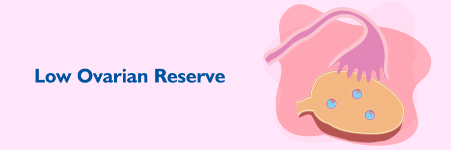 Ovarian Reserve Getting Pregnant With Low Ovarian Reserve