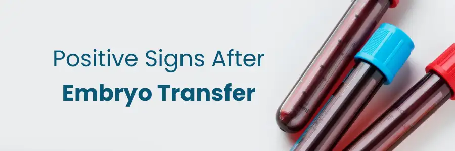 Positive Signs After Embryo Transfer