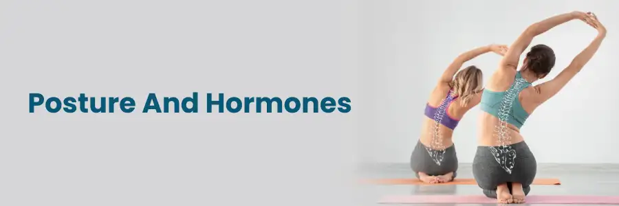 The Impact of Posture on Hormones