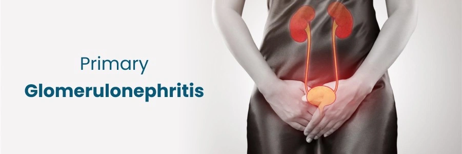 Primary Glomerulonephritis