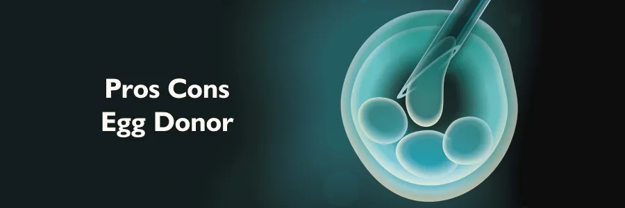 Pros and Cons Egg Donor