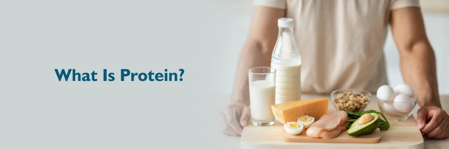 Protein And Its Benefits