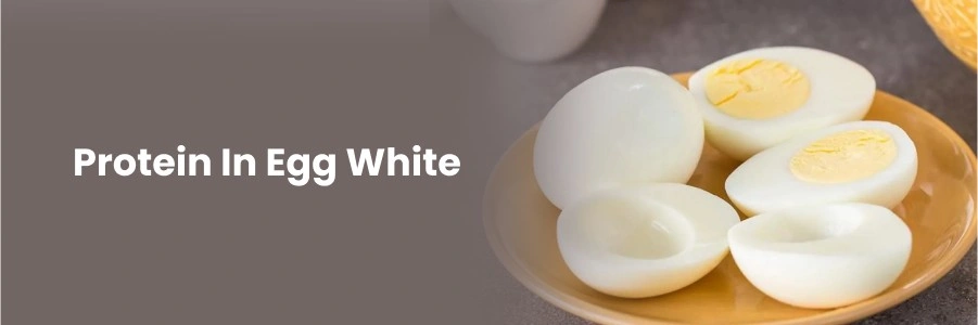 Protein In Egg White