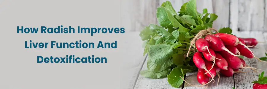 Improving Liver Health: The Power of Radish