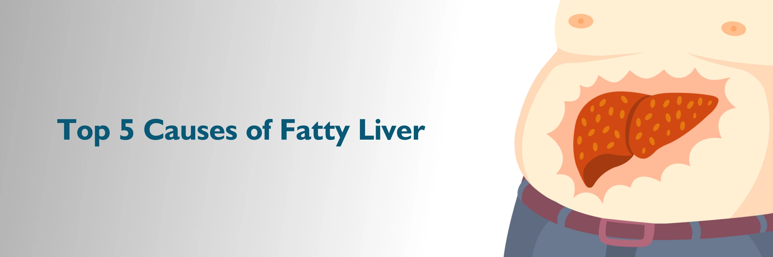 liver function liver function