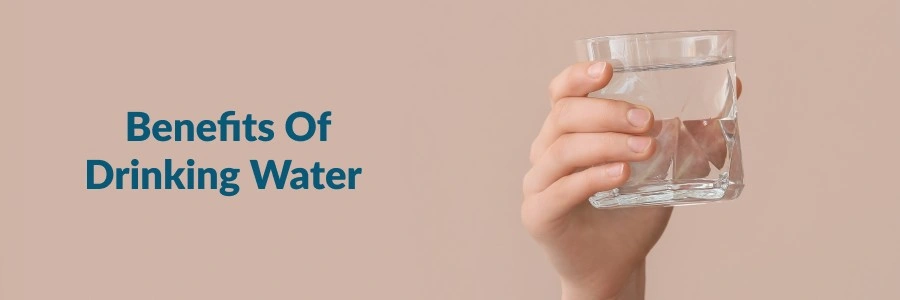 Rehabilitation Physical Therapy Chandanagar