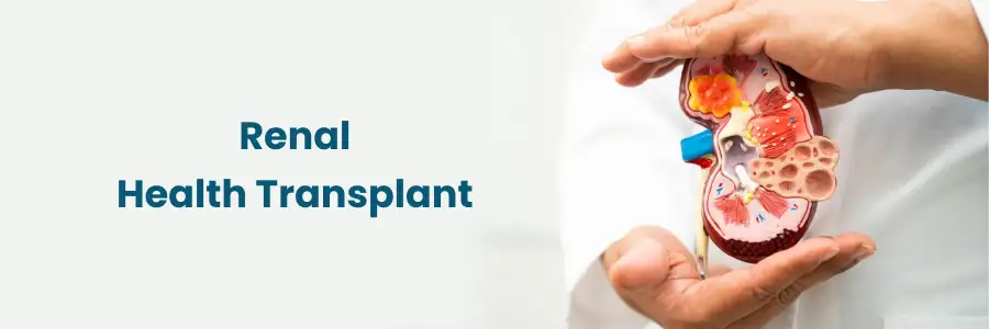 Renal Health and Transplant Care in Begumpet