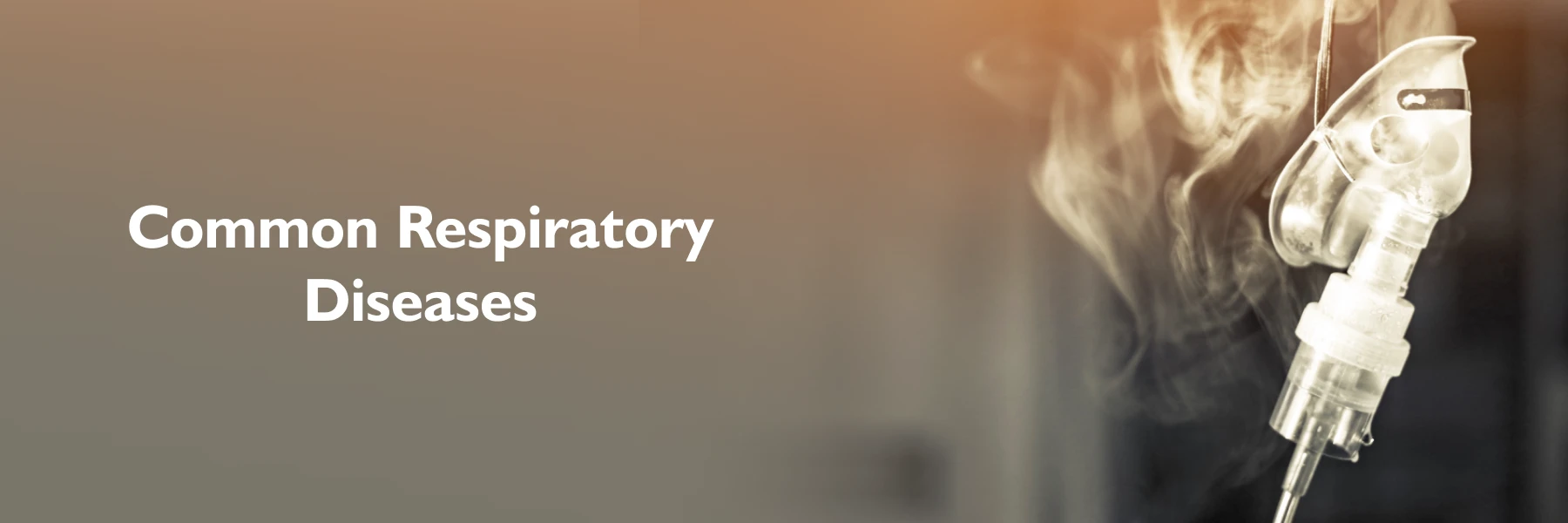 Respiratory Diseases in Navi Mumbai Respiratory Diseases in Navi Mumbai