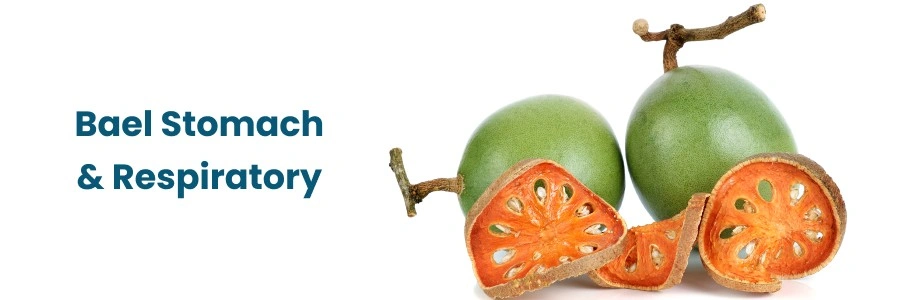 The Dangers of High Salt Intake for Stroke