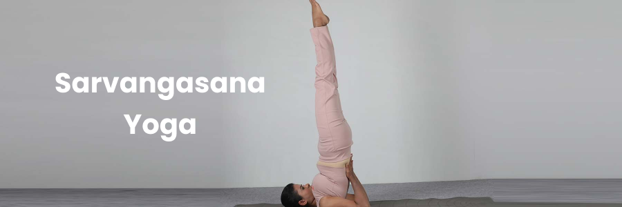 Sarvangasana Yoga