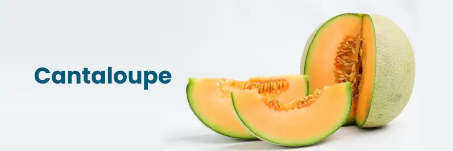 The Sweet Science of Cantaloupe: Benefits, Nutrition, and More