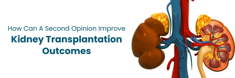 How a second opinion improves kidney transplantation care