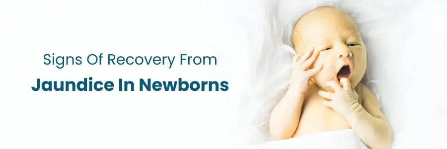 Signs of Recovery from Jaundice in Newborns